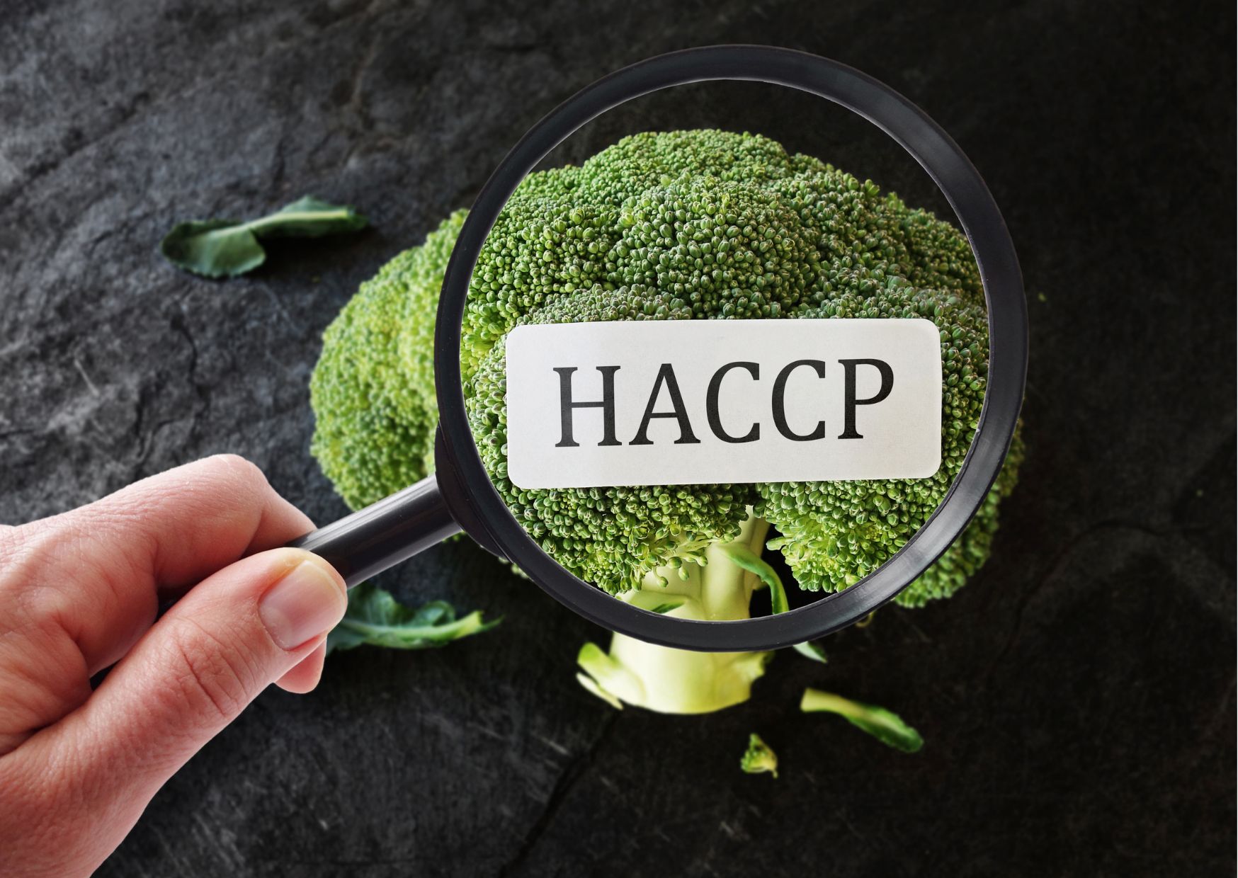 Professional Standards of HACCP