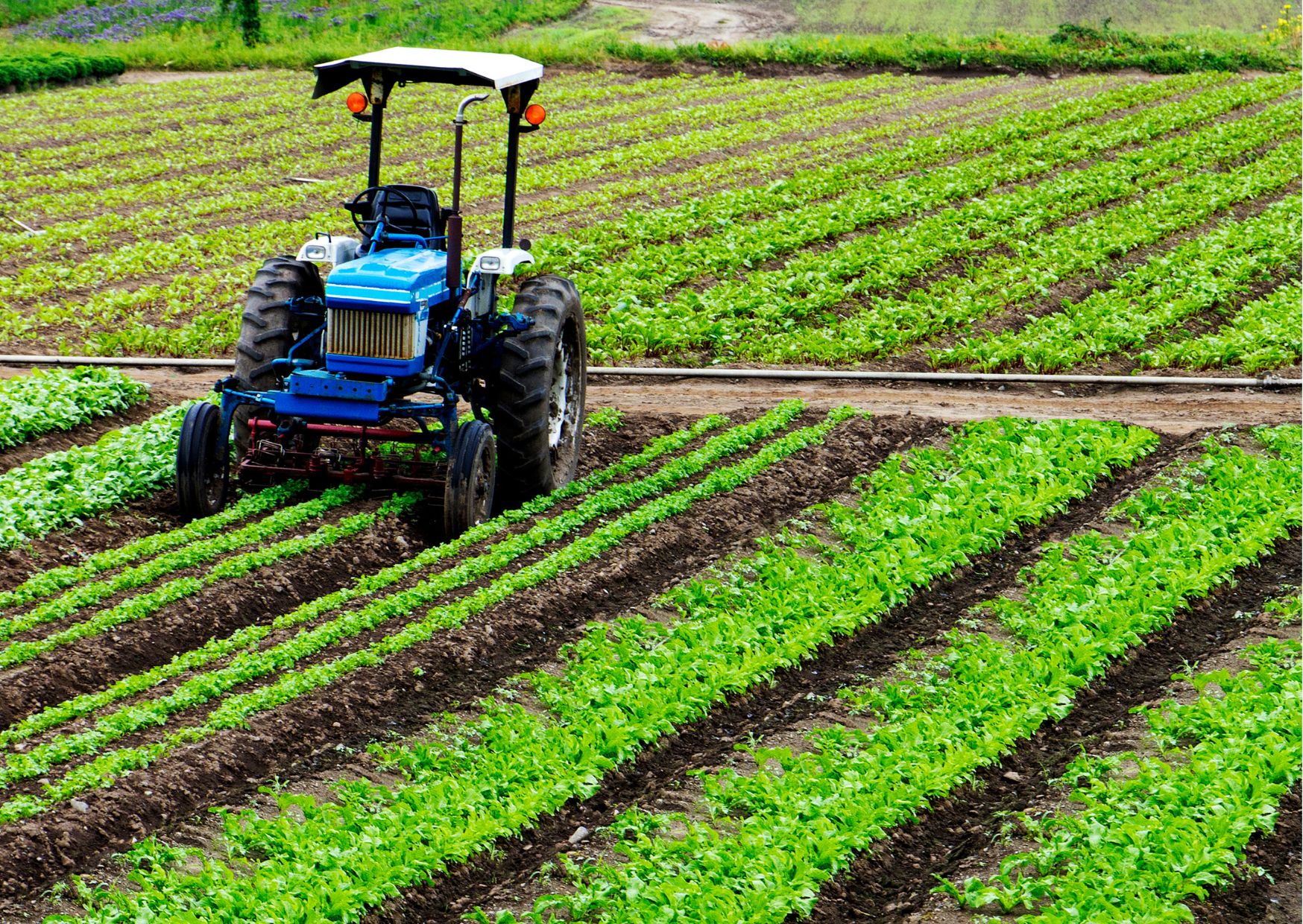 Agriculture Fundamentals