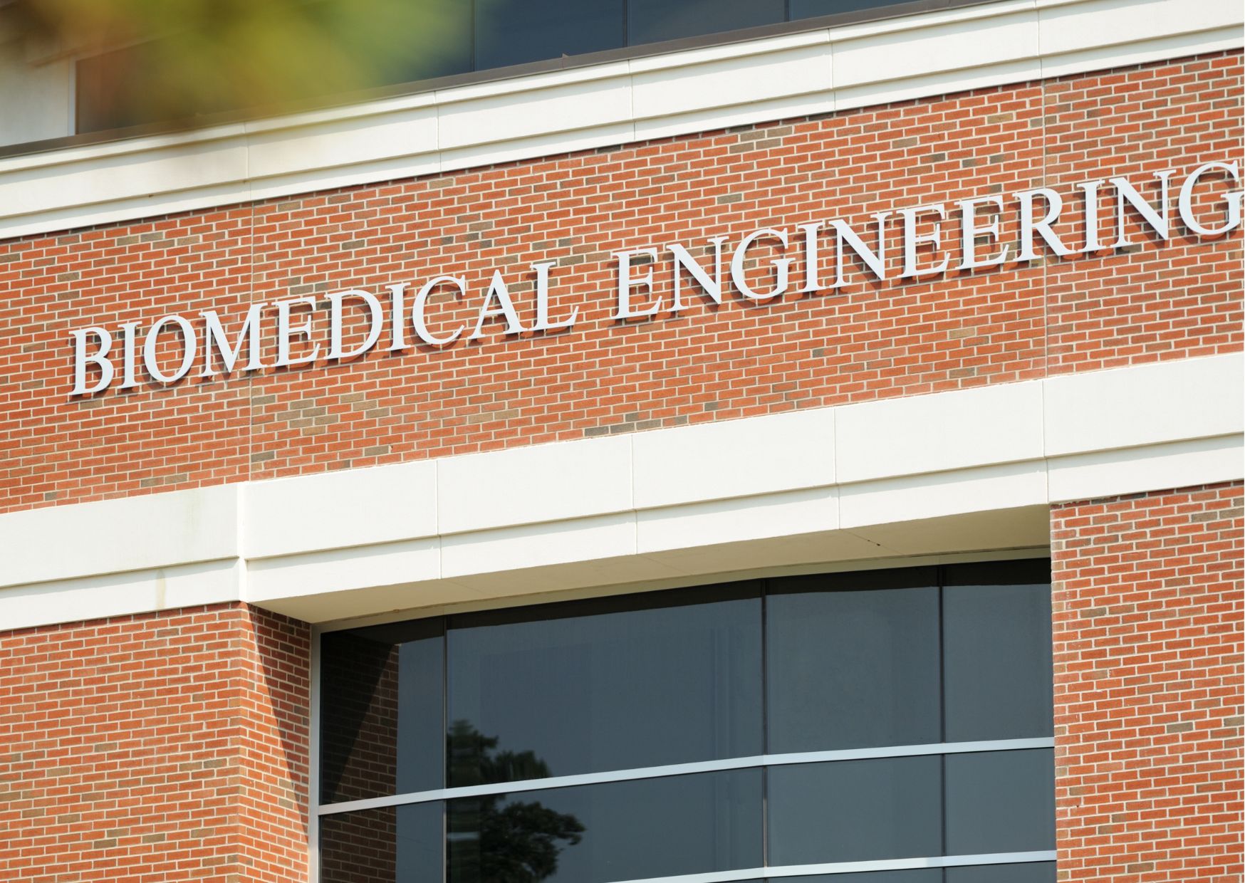 Biomedical Engineering Online Course