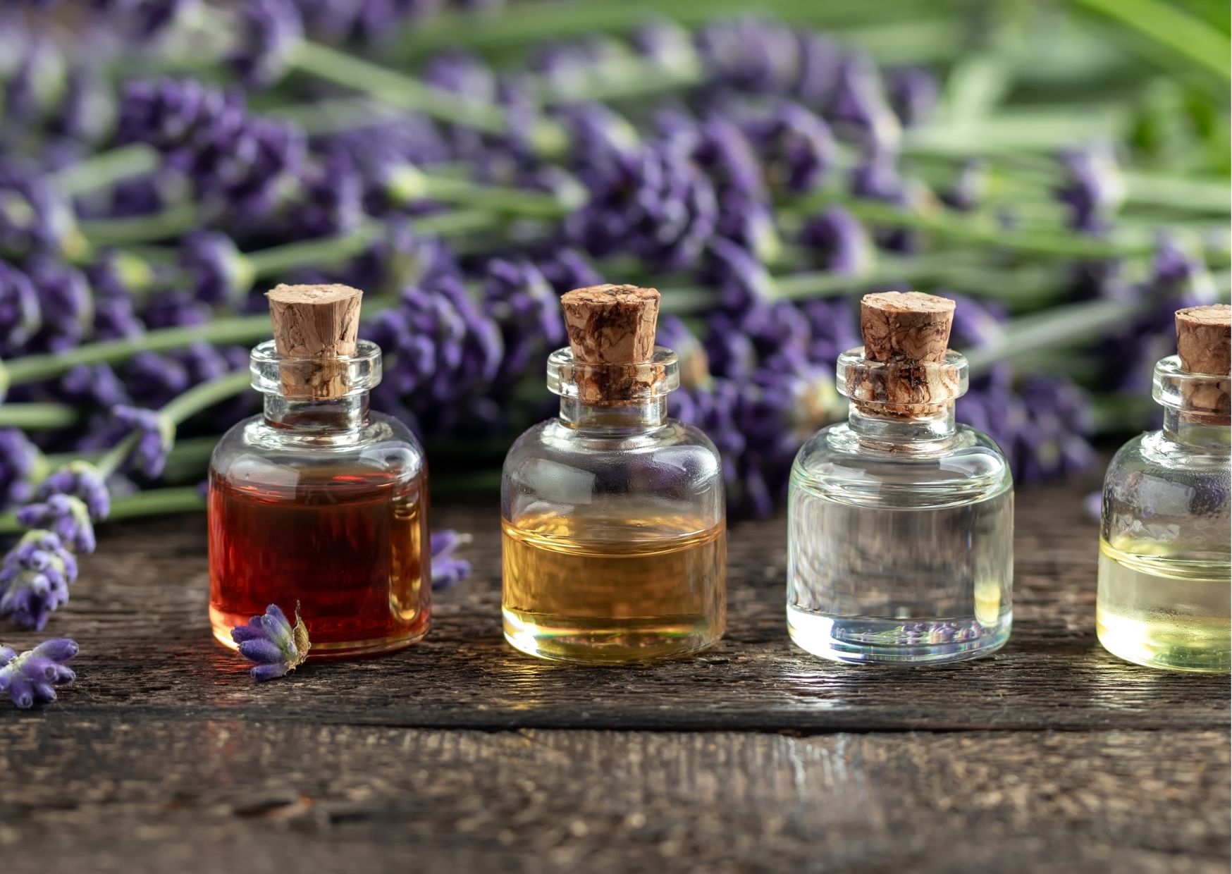 Exploring the Benefits of Essential Oils