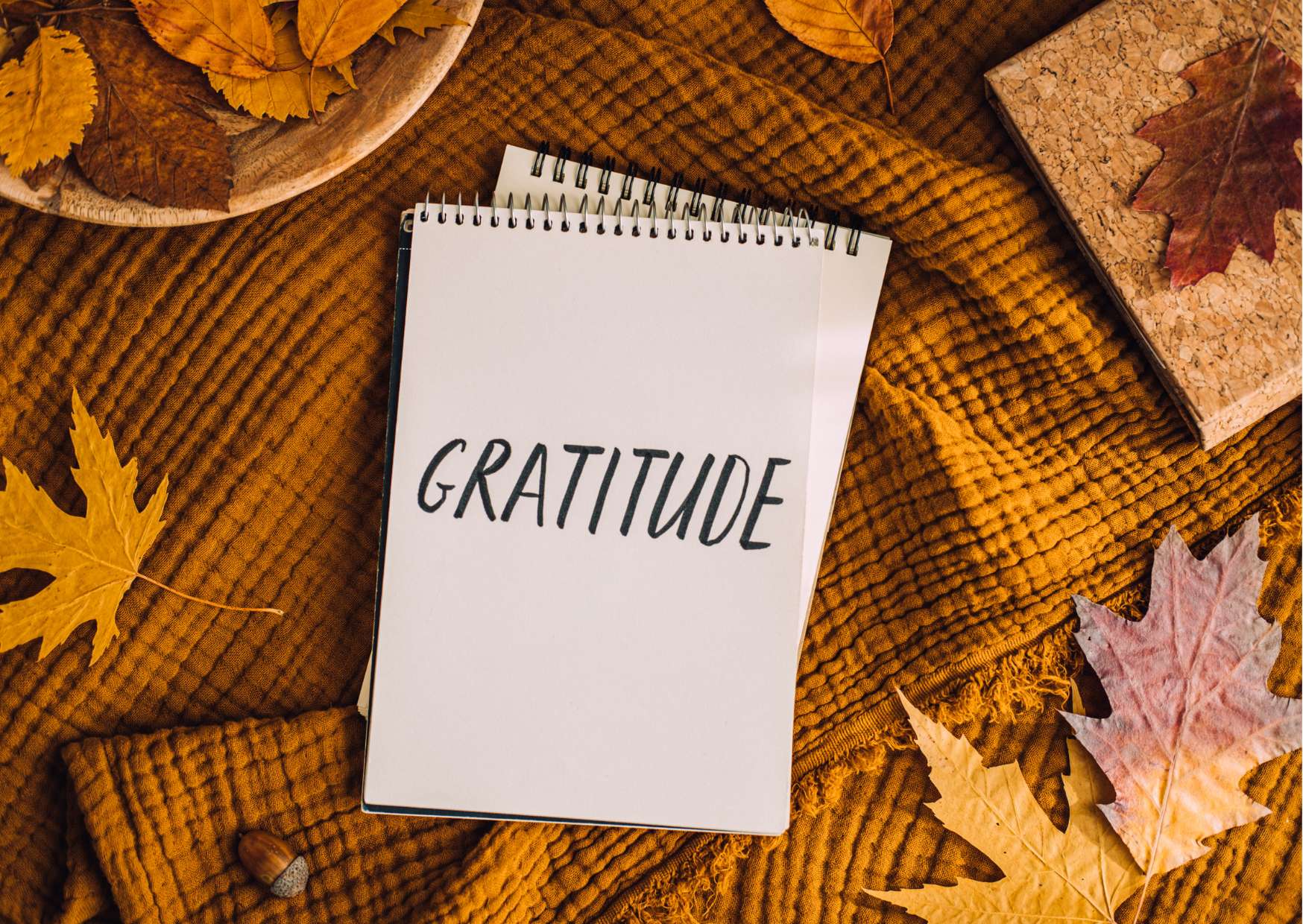 Gratitude Mastery: Transform Your Life Through Positive Acknowledgment