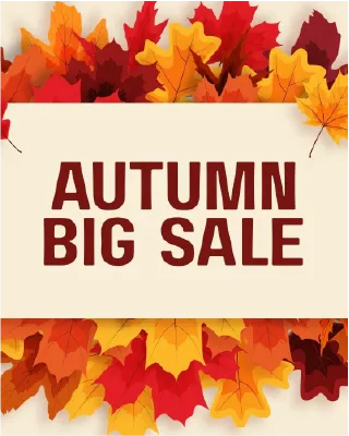 Autumn big sale