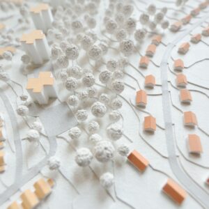 Town Planning