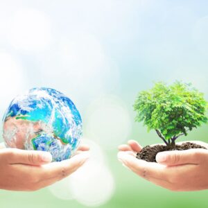 Environmental Management Training
