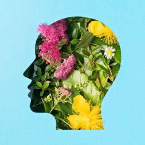 Fundamentals of Positive Psychology