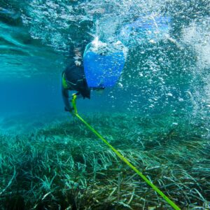 Certificate in Marine Biology