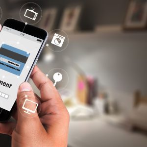 Stripe Mastery: Payment Processing Pro