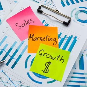 Mastering Flippa to Boost Sales and Profits
