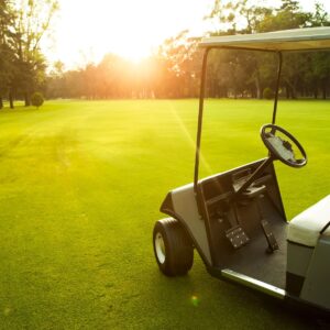 Golf Cart Safety