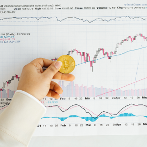 Investment, Stock Trading and Investment Management