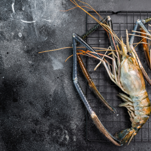 Perfect Shrimp Dishes at Home