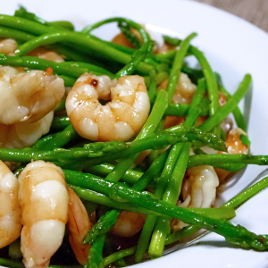 Protein-Rich Dinner Plates