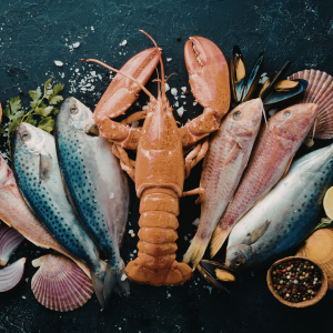 Fresh Catch Seafood Meals