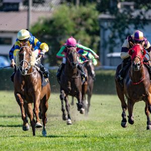 Complete Horse Riding Course