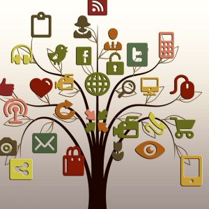 Digital Marketing Diploma: Social Media Level 2