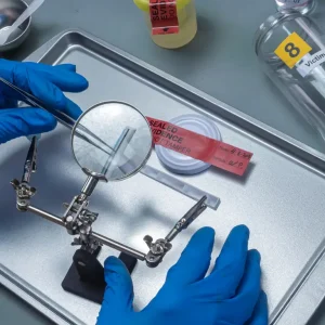 forensic nursing course